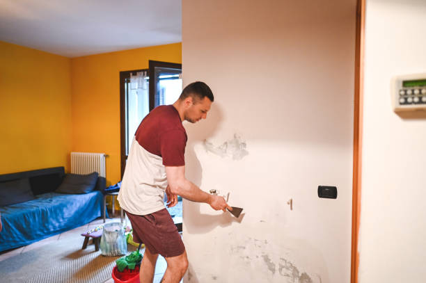 Best Home Mold Removal  in Millbrook, NY
